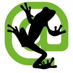 logo outil référencement naturel screaming frog